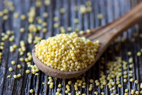 hd porso|Proso Millet: A Forgotten Indian Millet With ...